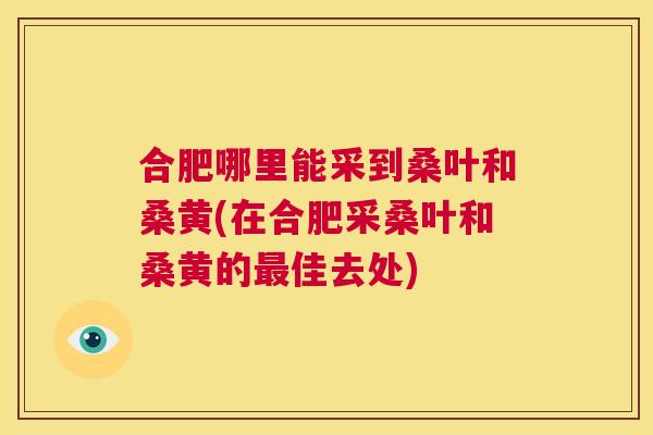 合肥哪里能采到桑叶和桑黄(在合肥采桑叶和桑黄的佳去处) 合肥哪里能采到桑叶和桑黄(在合肥采桑叶和桑黄的佳去处)