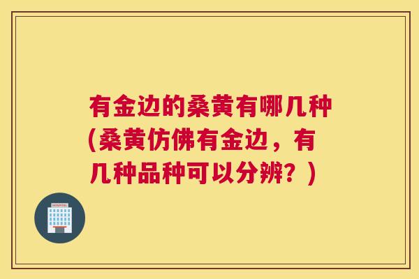 有金边的桑黄有哪几种(桑黄仿佛有金边,有几种品种可以分辨?) 有金边的桑黄有哪几种(桑黄仿佛有金边,有几种品种可以分辨?)