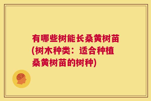 有哪些树能长桑黄树苗(树木种类:适合种植桑黄树苗的树种) 有哪些树能长桑黄树苗(树木种类:适合种植桑黄树苗的树种)