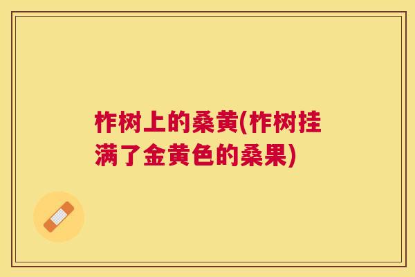 柞树上的桑黄(柞树挂满了金黄色的桑果) 柞树上的桑黄(柞树挂满了金黄色的桑果)