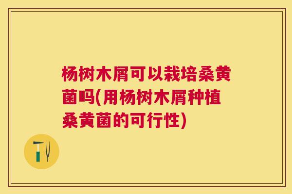 杨树木屑可以栽培桑黄菌吗(用杨树木屑种植桑黄菌的可行性) 杨树木屑可以栽培桑黄菌吗(用杨树木屑种植桑黄菌的可行性)
