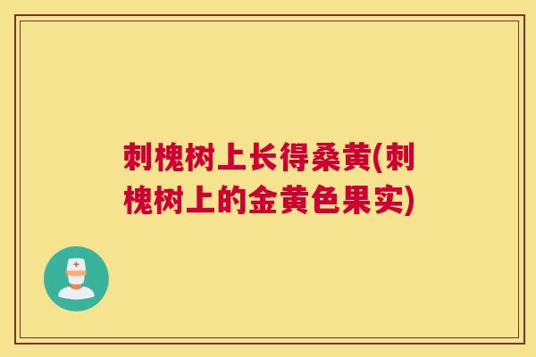 刺槐树上长得桑黄(刺槐树上的金黄色果实) 刺槐树上长得桑黄(刺槐树上的金黄色果实)