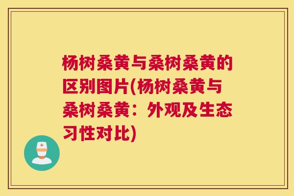 杨树桑黄与桑树桑黄的区别图片(杨树桑黄与桑树桑黄:外观及生态习性对比) 杨树桑黄与桑树桑黄的区别图片(杨树桑黄与桑树桑黄:外观及生态习性对比)