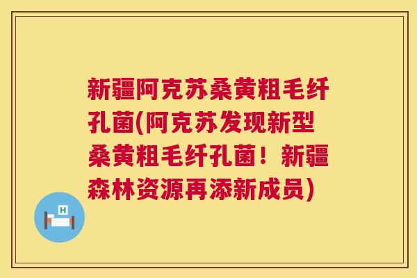 新疆阿克苏桑黄粗毛纤孔菌(阿克苏发现新型桑黄粗毛纤孔菌!新疆森林资源再添新成员) 新疆阿克苏桑黄粗毛纤孔菌(阿克苏发现新型桑黄粗毛纤孔菌!新疆森林资源再添新成员)