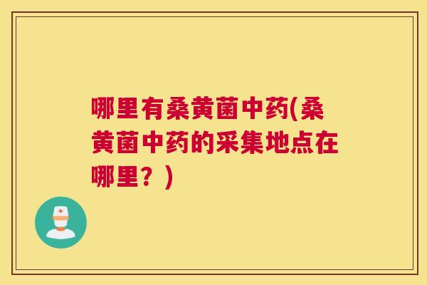 哪里有桑黄菌(桑黄菌的采集地点在哪里？)