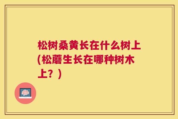 松树桑黄长在什么树上(松蘑生长在哪种树木上?) 松树桑黄长在什么树上(松蘑生长在哪种树木上?)