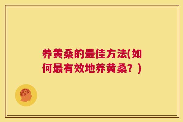 养黄桑的佳方法(如何有效地养黄桑?) 养黄桑的佳方法(如何有效地养黄桑?)