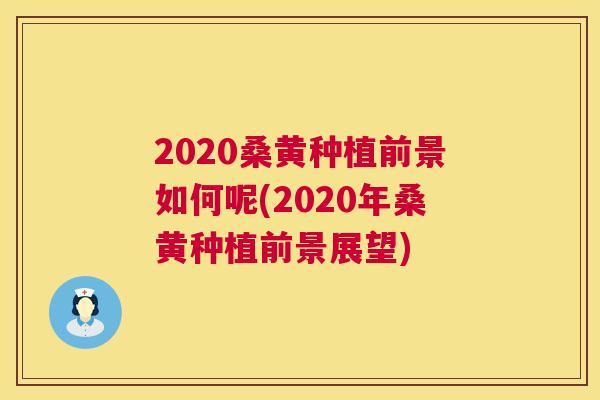 2020桑黄种植前景如何呢(2020年桑黄种植前景展望) 2020桑黄种植前景如何呢(2020年桑黄种植前景展望)