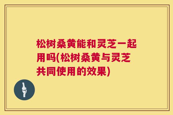松树桑黄能和灵芝一起用吗(松树桑黄与灵芝共同使用的效果) 松树桑黄能和灵芝一起用吗(松树桑黄与灵芝共同使用的效果)