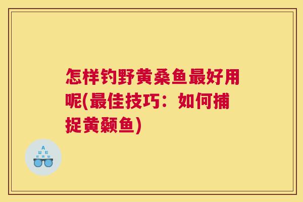 怎样钓野黄桑鱼好用呢(佳技巧:如何捕捉黄颡鱼) 怎样钓野黄桑鱼好用呢(佳技巧:如何捕捉黄颡鱼)