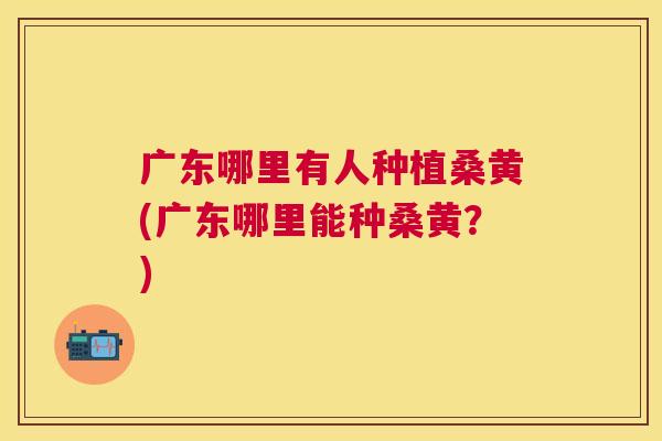 广东哪里有人种植桑黄(广东哪里能种桑黄?) 广东哪里有人种植桑黄(广东哪里能种桑黄?)
