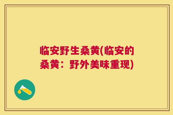 临安野生桑黄(临安的桑黄:野外美味重现) 临安野生桑黄(临安的桑黄:野外美味重现)
