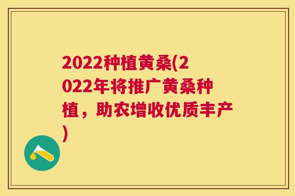2022种植黄桑(2022年将推广黄桑种植,助农增收优质丰产) 2022种植黄桑(2022年将推广黄桑种植,助农增收优质丰产)