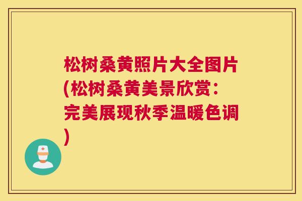 松树桑黄照片大全图片(松树桑黄美景欣赏:完美展现秋季温暖色调) 松树桑黄照片大全图片(松树桑黄美景欣赏:完美展现秋季温暖色调)