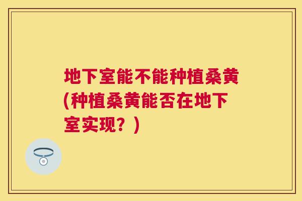 地下室能不能种植桑黄(种植桑黄能否在地下室实现?) 地下室能不能种植桑黄(种植桑黄能否在地下室实现?)