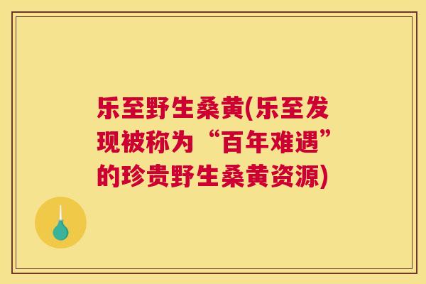 乐至野生桑黄(乐至发现被称为“百年难遇”的珍贵野生桑黄资源)