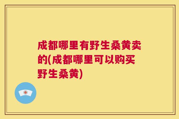 成都哪里有野生桑黄卖的(成都哪里可以购买野生桑黄) 成都哪里有野生桑黄卖的(成都哪里可以购买野生桑黄)