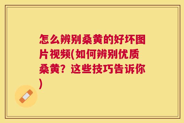 怎么辨别桑黄的好坏图片视频(如何辨别优质桑黄?这些技巧告诉你) 怎么辨别桑黄的好坏图片视频(如何辨别优质桑黄?这些技巧告诉你)