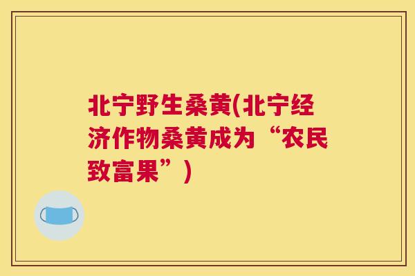 北宁野生桑黄(北宁经济作物桑黄成为“农民致富果”) 北宁野生桑黄(北宁经济作物桑黄成为“农民致富果”)