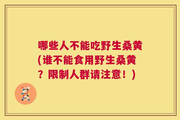 哪些人不能吃野生桑黄(谁不能食用野生桑黄?限制人群请注意!) 哪些人不能吃野生桑黄(谁不能食用野生桑黄?限制人群请注意!)