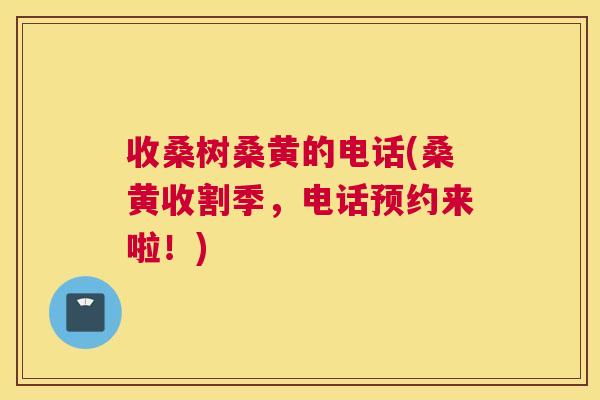 收桑树桑黄的电话(桑黄收割季,电话预约来啦!) 收桑树桑黄的电话(桑黄收割季,电话预约来啦!)