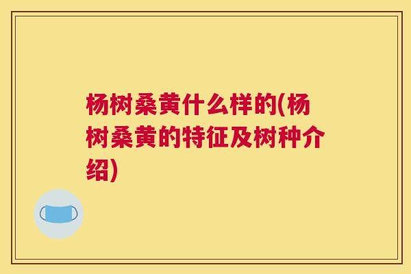 杨树桑黄什么样的(杨树桑黄的特征及树种介绍) 杨树桑黄什么样的(杨树桑黄的特征及树种介绍)