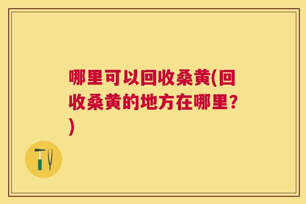 哪里可以回收桑黄(回收桑黄的地方在哪里?) 哪里可以回收桑黄(回收桑黄的地方在哪里?)