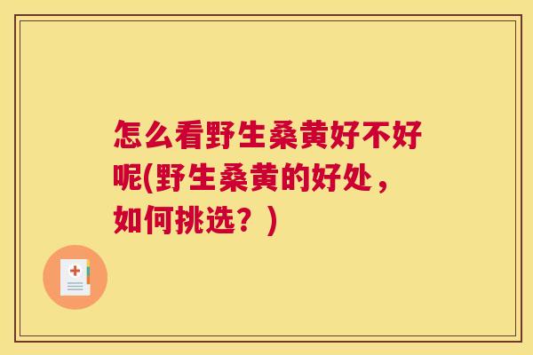 怎么看野生桑黄好不好呢(野生桑黄的好处,如何挑选?) 怎么看野生桑黄好不好呢(野生桑黄的好处,如何挑选?)