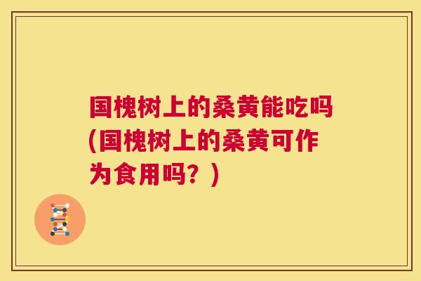 国槐树上的桑黄能吃吗(国槐树上的桑黄可作为食用吗?) 国槐树上的桑黄能吃吗(国槐树上的桑黄可作为食用吗?)