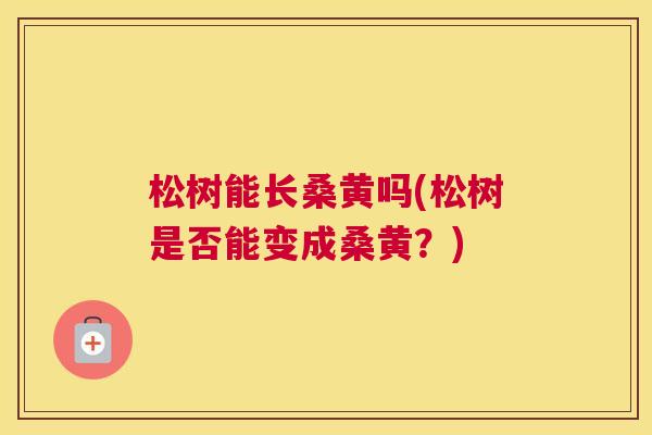 松树能长桑黄吗(松树是否能变成桑黄?) 松树能长桑黄吗(松树是否能变成桑黄?)