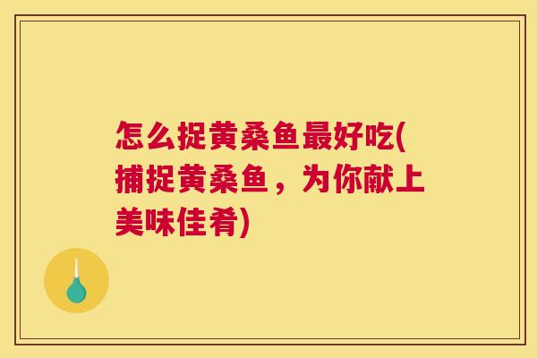 怎么捉黄桑鱼好吃(捕捉黄桑鱼,为你献上美味佳肴) 怎么捉黄桑鱼好吃(捕捉黄桑鱼,为你献上美味佳肴)