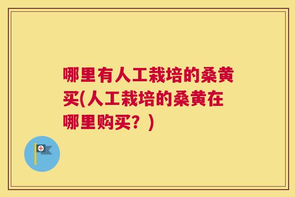 哪里有人工栽培的桑黄买(人工栽培的桑黄在哪里购买?) 哪里有人工栽培的桑黄买(人工栽培的桑黄在哪里购买?)
