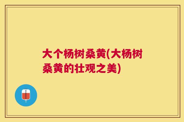 大个杨树桑黄(大杨树桑黄的壮观之美) 大个杨树桑黄(大杨树桑黄的壮观之美)