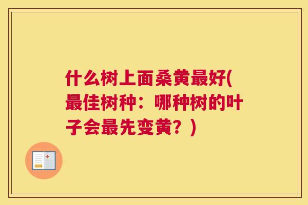 什么树上面桑黄好(佳树种:哪种树的叶子会先变黄?) 什么树上面桑黄好(佳树种:哪种树的叶子会先变黄?)