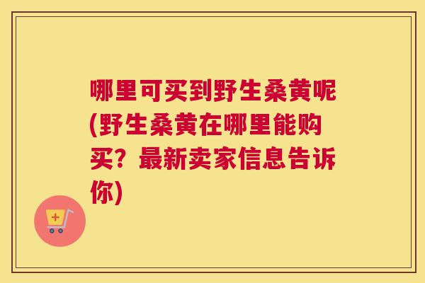 哪里可买到野生桑黄呢(野生桑黄在哪里能购买?新卖家信息告诉你) 哪里可买到野生桑黄呢(野生桑黄在哪里能购买?新卖家信息告诉你)