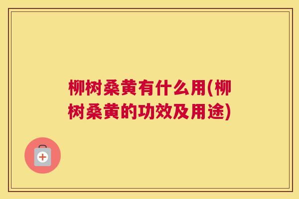 柳树桑黄有什么用(柳树桑黄的功效及用途) 柳树桑黄有什么用(柳树桑黄的功效及用途)