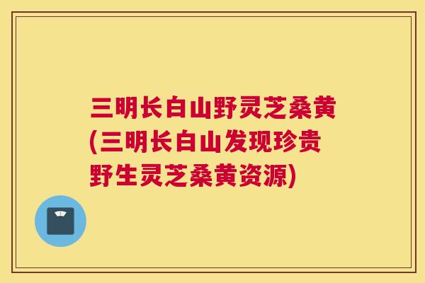 三明长白山野灵芝桑黄(三明长白山发现珍贵野生灵芝桑黄资源) 三明长白山野灵芝桑黄(三明长白山发现珍贵野生灵芝桑黄资源)