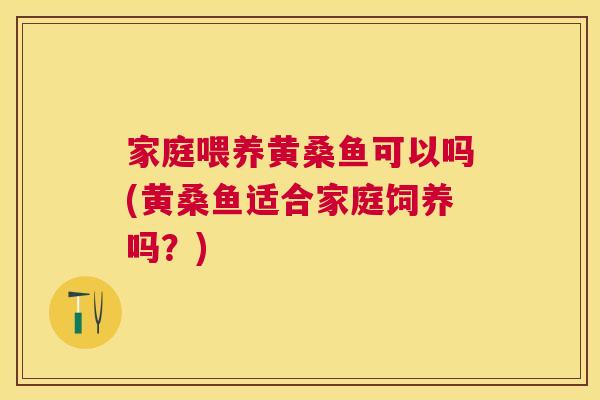 家庭喂养黄桑鱼可以吗(黄桑鱼适合家庭饲养吗?) 家庭喂养黄桑鱼可以吗(黄桑鱼适合家庭饲养吗?)