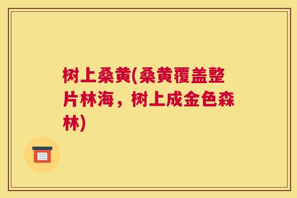 树上桑黄(桑黄覆盖整片林海,树上成金色森林) 树上桑黄(桑黄覆盖整片林海,树上成金色森林)