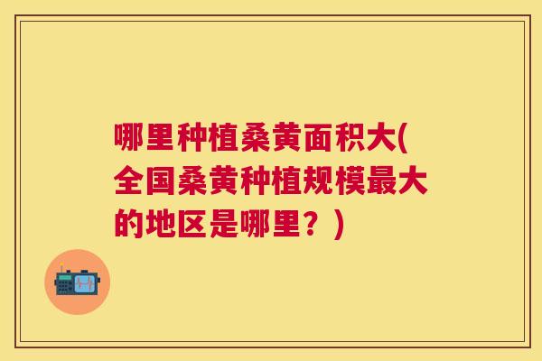 哪里种植桑黄面积大(全国桑黄种植规模大的地区是哪里?) 哪里种植桑黄面积大(全国桑黄种植规模大的地区是哪里?)