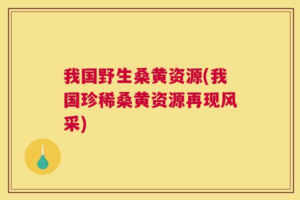 我国野生桑黄资源(我国珍稀桑黄资源再现风采) 我国野生桑黄资源(我国珍稀桑黄资源再现风采)