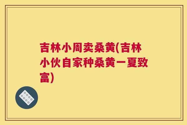 吉林小周卖桑黄(吉林小伙自家种桑黄一夏致富) 吉林小周卖桑黄(吉林小伙自家种桑黄一夏致富)