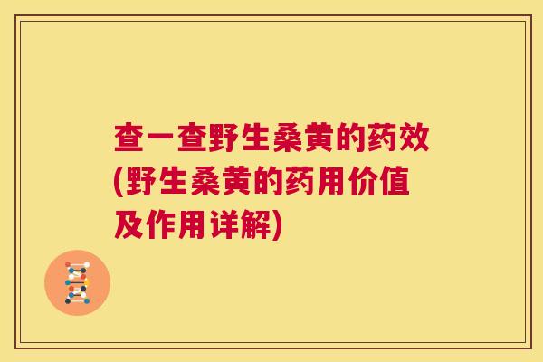 查一查野生桑黄的(野生桑黄的药用价值及作用详解) 查一查野生桑黄的(野生桑黄的药用价值及作用详解)