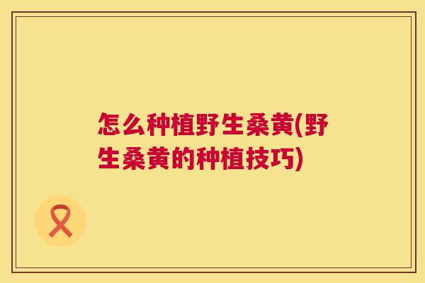 怎么种植野生桑黄(野生桑黄的种植技巧) 怎么种植野生桑黄(野生桑黄的种植技巧)