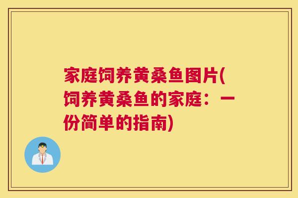 家庭饲养黄桑鱼图片(饲养黄桑鱼的家庭:一份简单的指南) 家庭饲养黄桑鱼图片(饲养黄桑鱼的家庭:一份简单的指南)