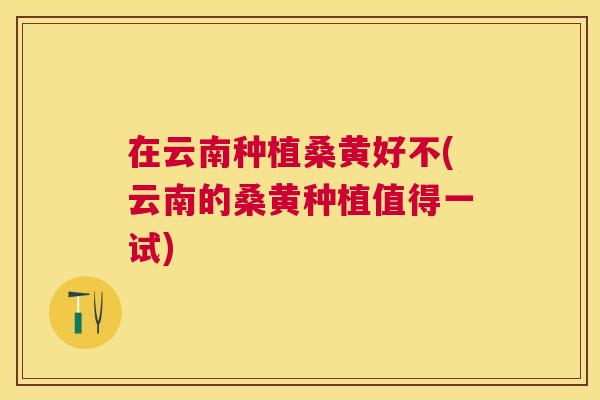 在云南种植桑黄好不(云南的桑黄种植值得一试) 在云南种植桑黄好不(云南的桑黄种植值得一试)