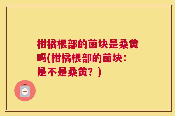 柑橘根部的菌块是桑黄吗(柑橘根部的菌块:是不是桑黄?) 柑橘根部的菌块是桑黄吗(柑橘根部的菌块:是不是桑黄?)