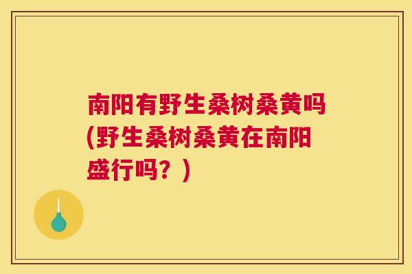 南阳有野生桑树桑黄吗(野生桑树桑黄在南阳盛行吗?) 南阳有野生桑树桑黄吗(野生桑树桑黄在南阳盛行吗?)