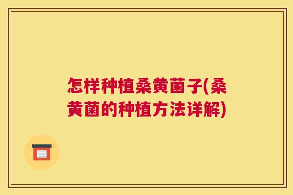 怎样种植桑黄菌子(桑黄菌的种植方法详解) 怎样种植桑黄菌子(桑黄菌的种植方法详解)