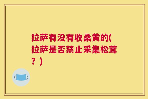 拉萨有没有收桑黄的(拉萨是否禁止采集松茸?) 拉萨有没有收桑黄的(拉萨是否禁止采集松茸?)